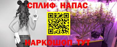 стафф Аргун