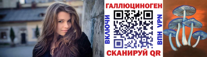Галлюциногенные грибы Psilocybe  Купить закладки  Белогорск 