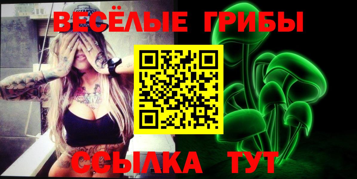 Псилоцибиновые грибы Psilocybine cubensis Белогорск